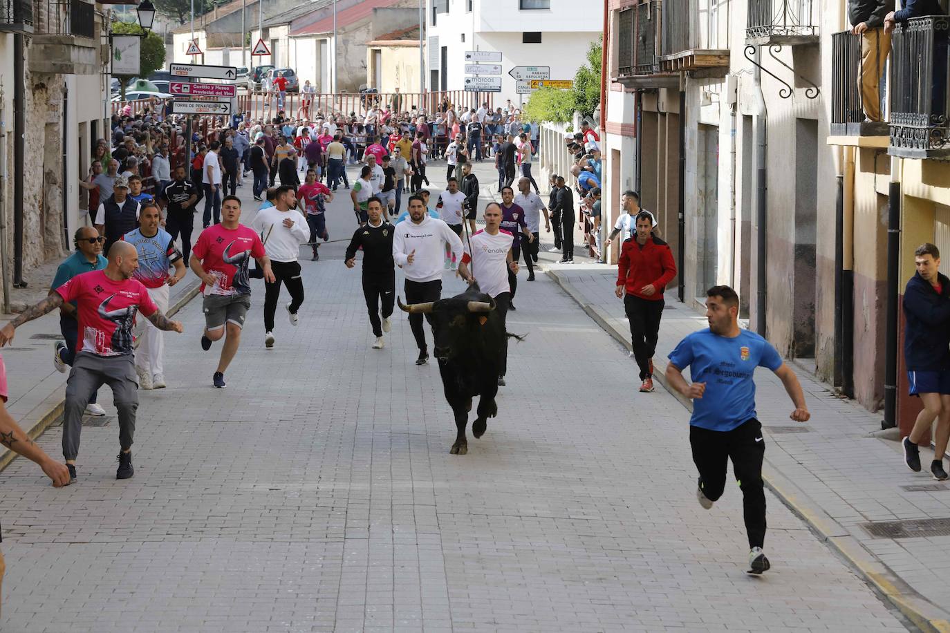 Encierro y capea del domingo por la mañana en Peñafiel