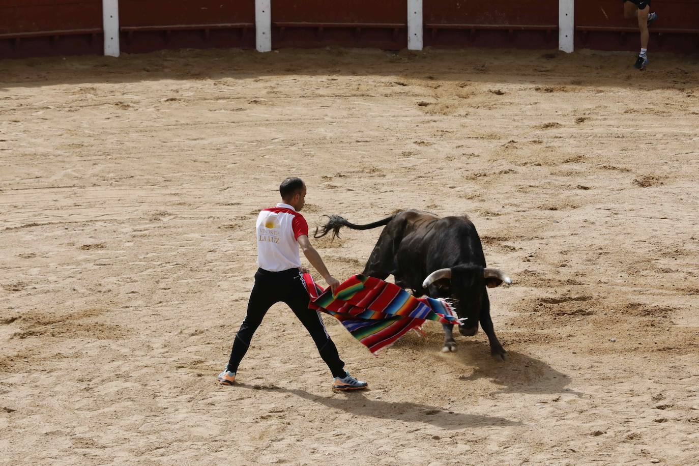 Encierro y capea del domingo por la mañana en Peñafiel