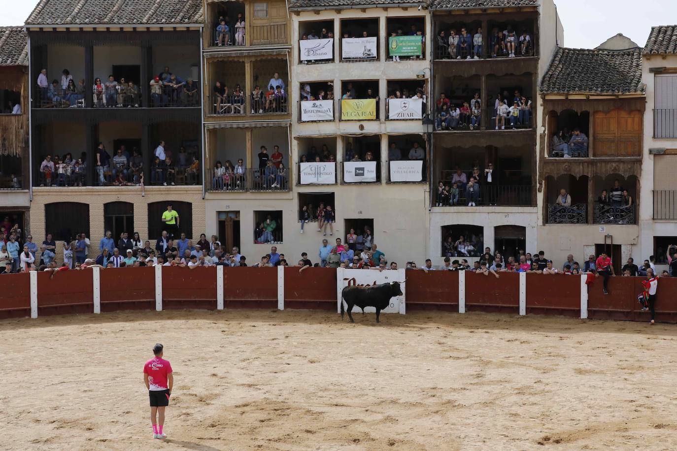 Encierro y capea del domingo por la mañana en Peñafiel