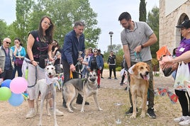 Varios de los perros participantes en el desfile, junto a sus dueños en San Isidro.