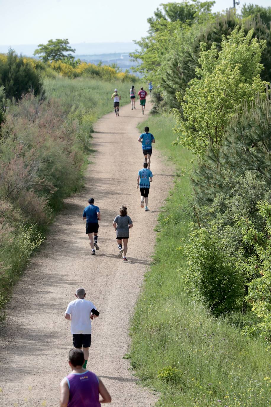 Carrera de la Ciencia en Valladolid