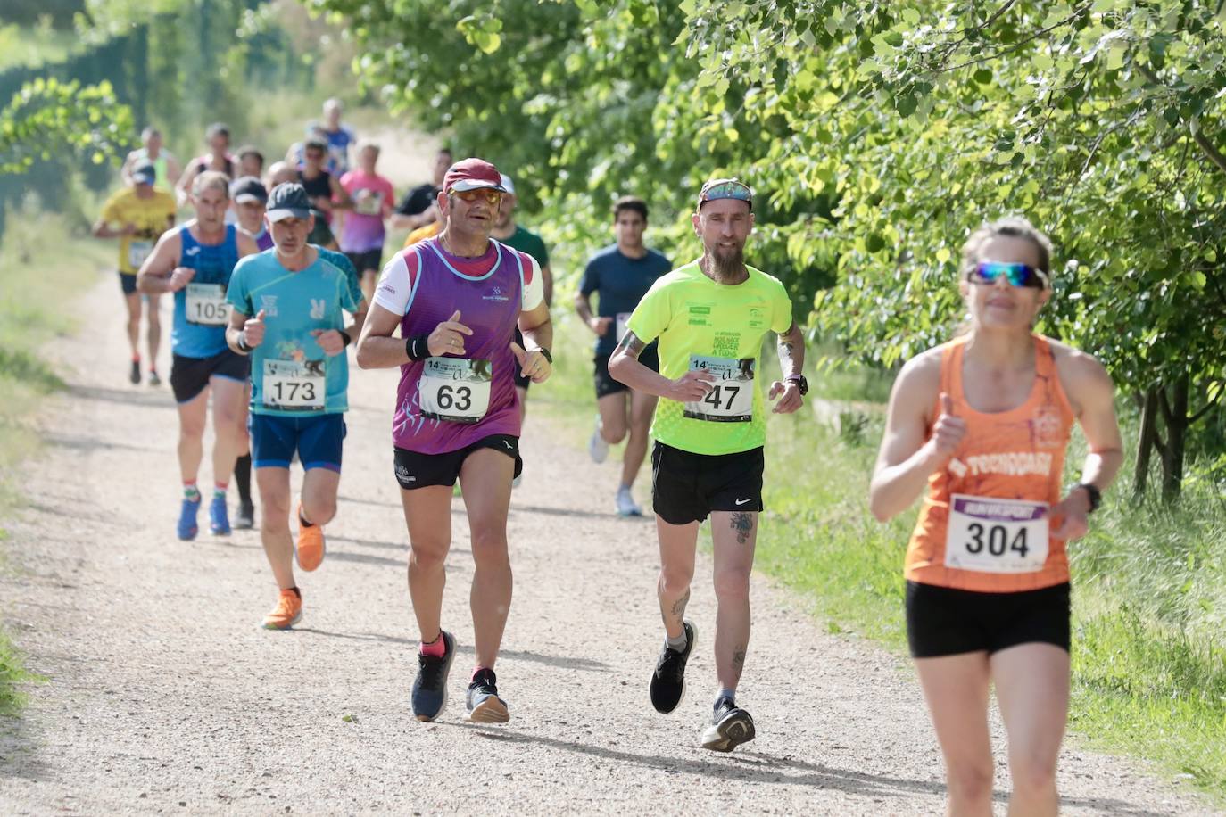 Carrera de la Ciencia en Valladolid