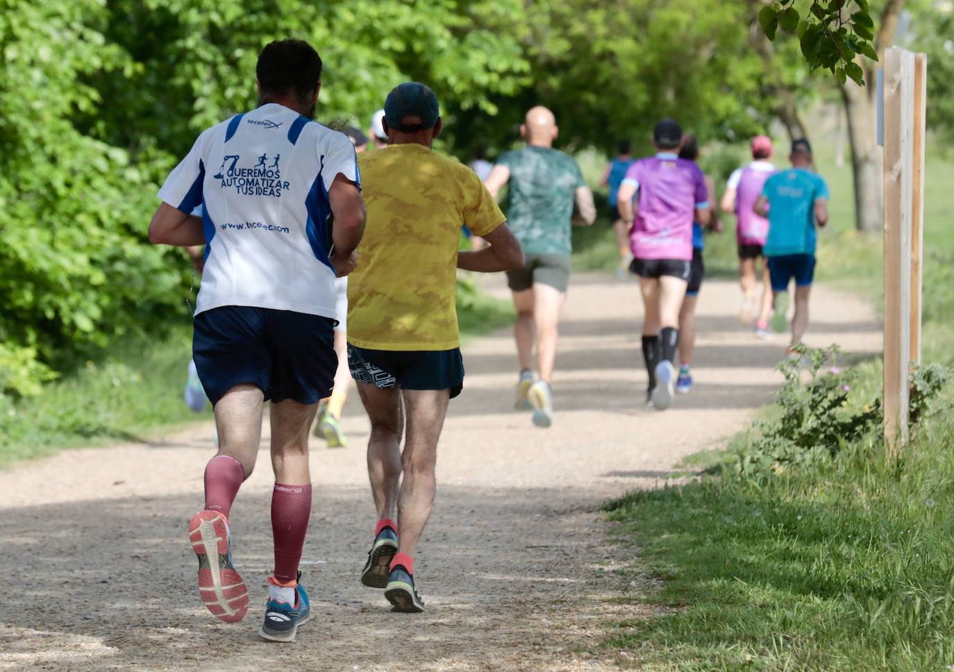 Carrera de la Ciencia en Valladolid