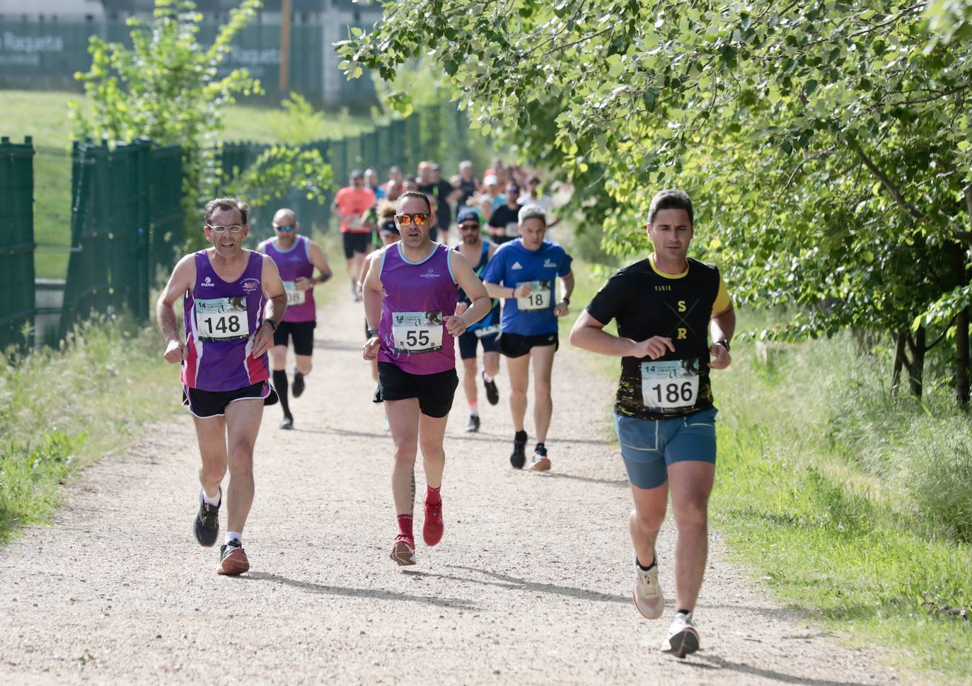 Carrera de la Ciencia en Valladolid