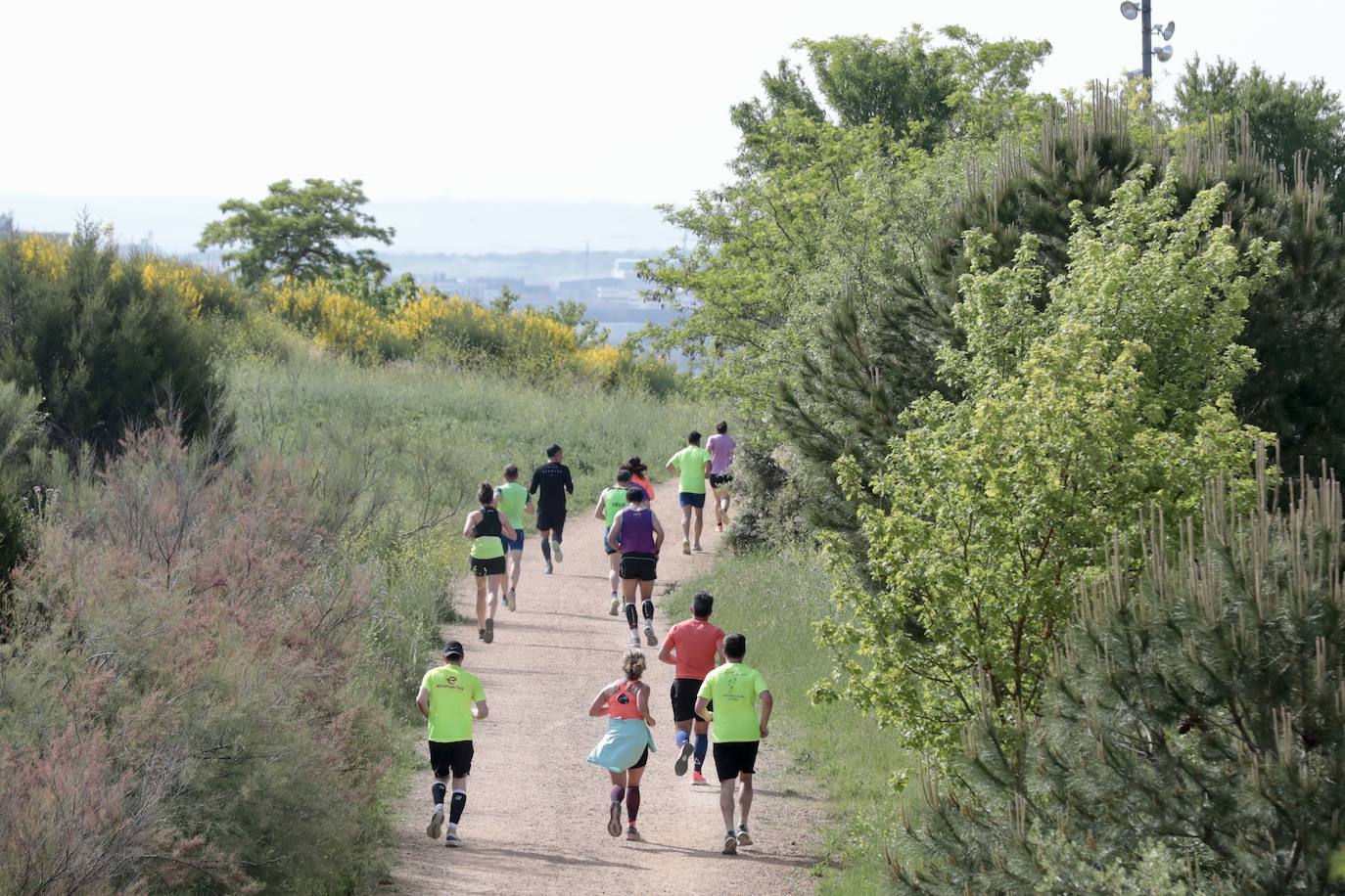 Carrera de la Ciencia en Valladolid