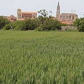 En abril, espigado; en mayo, granado..., pero hay que esperar