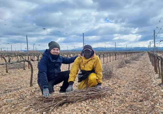 Nacho y Mamadou, su trabajador, recogiendo sarmientos.