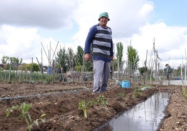 El Ayuntamiento valorará ampliar los huertos ecológicos de la ciudad