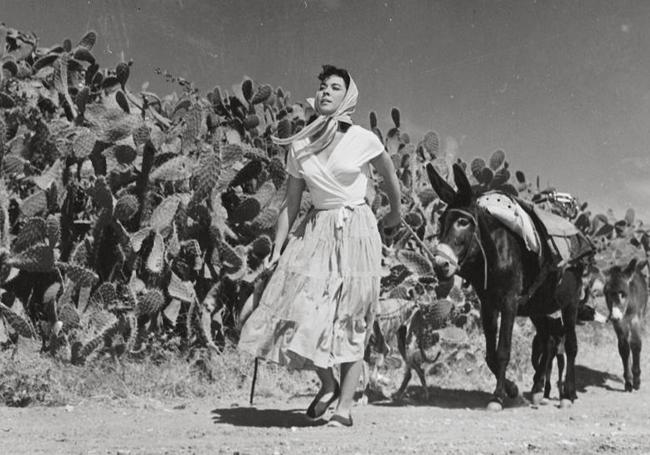 Una escena de 'La Gata', de la directora leonesa Margarita Alexandre.