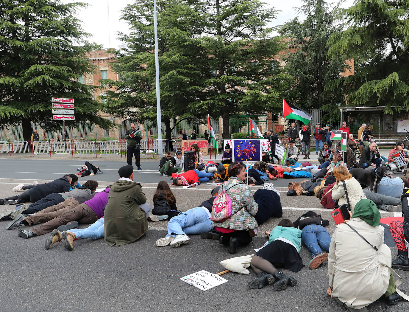 Amapolas contra las balas en Palestina