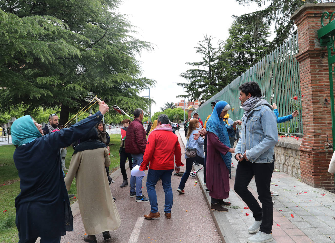 Amapolas contra las balas en Palestina