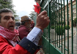 Amapolas contra las balas en Palestina