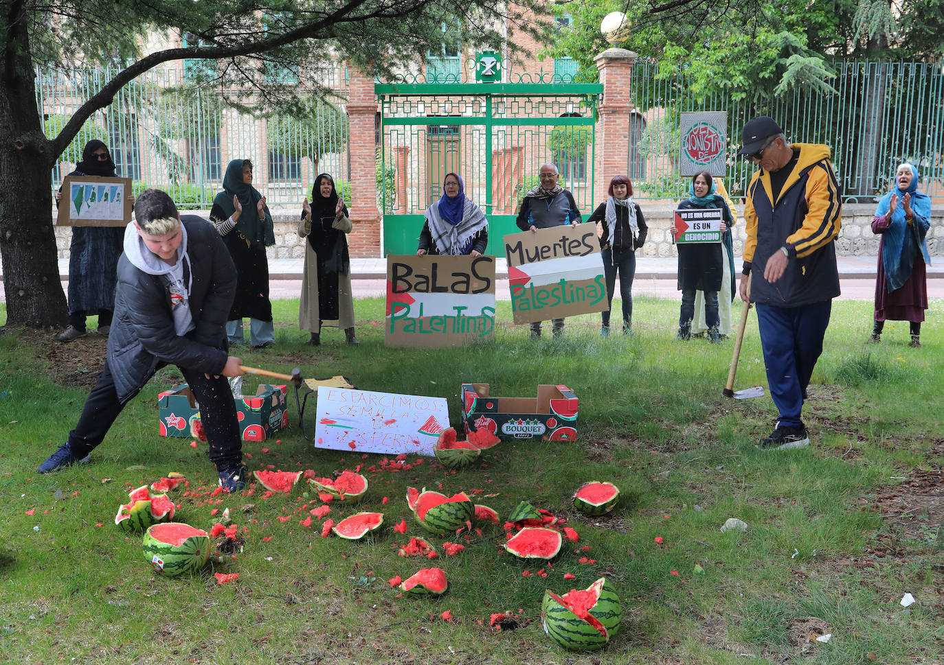 Amapolas contra las balas en Palestina
