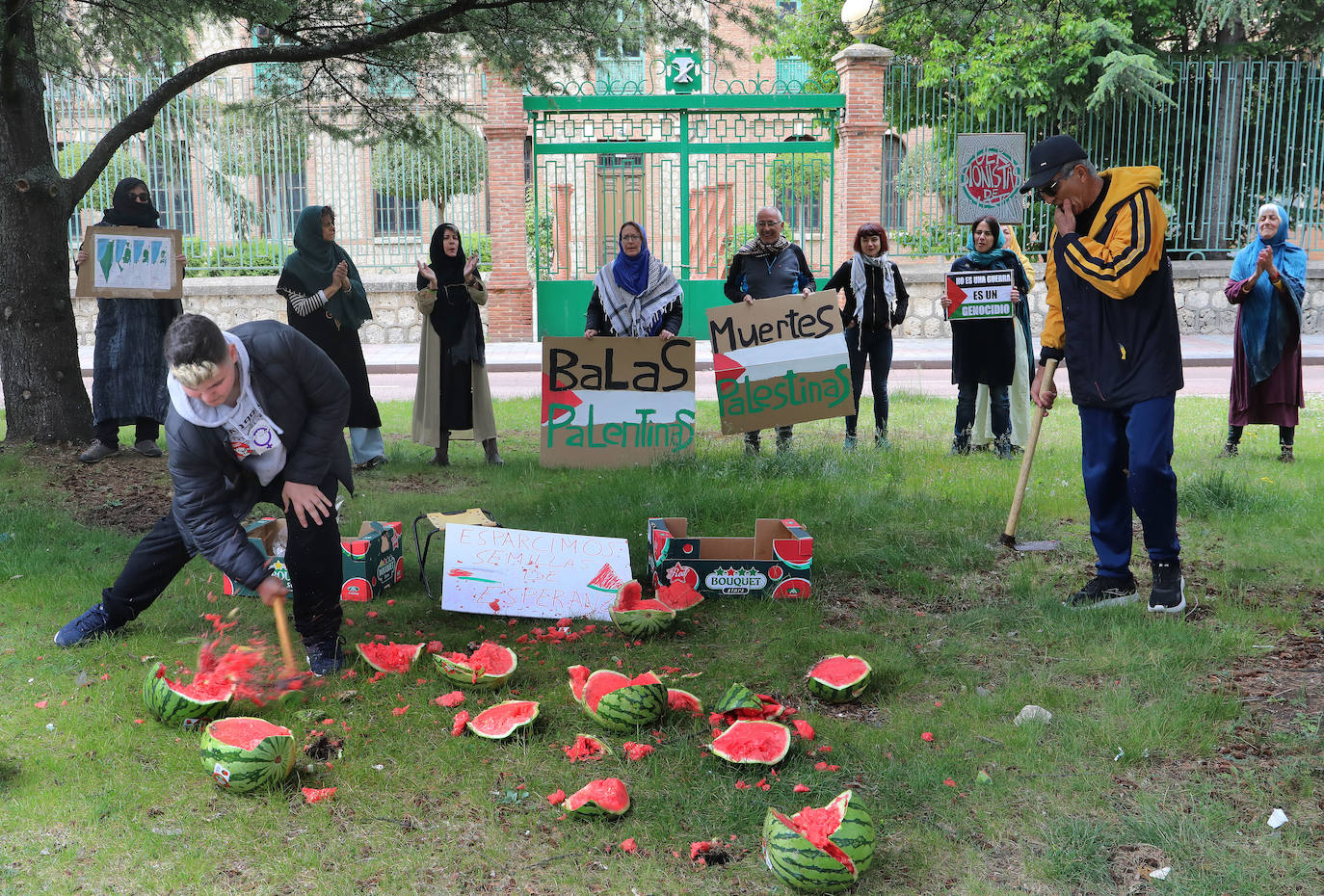Amapolas contra las balas en Palestina