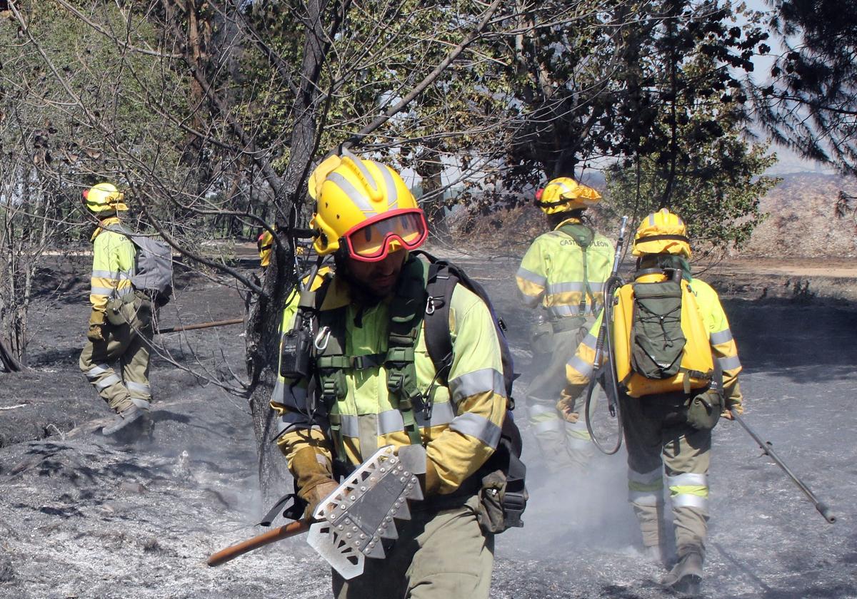 Brigadas y agentes medioambientales controlan y sofocan un incendio en Segovia.