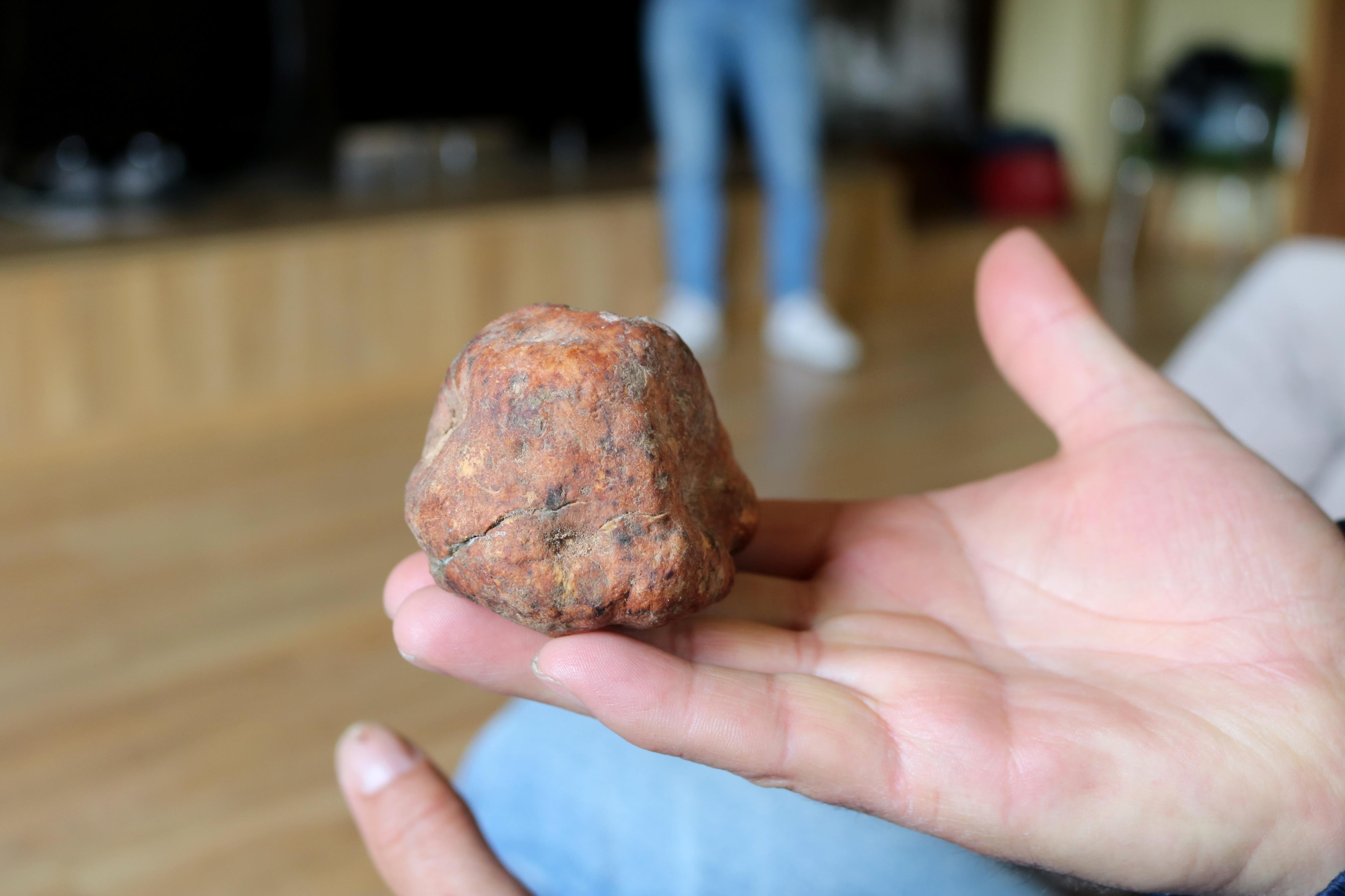 Jornadas de Formación en Turmicultura en Baltanás