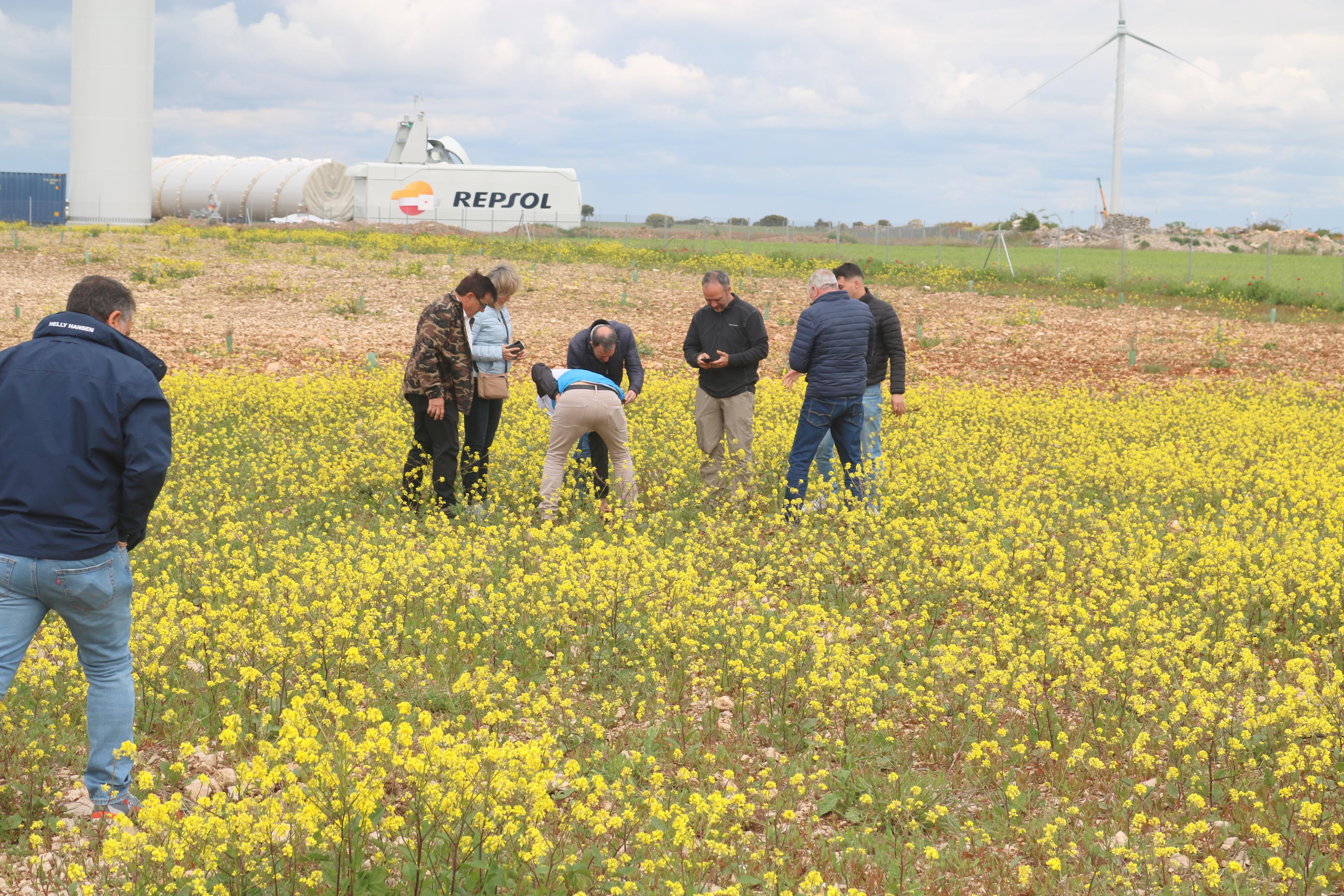 Jornadas de Formación en Turmicultura en Baltanás