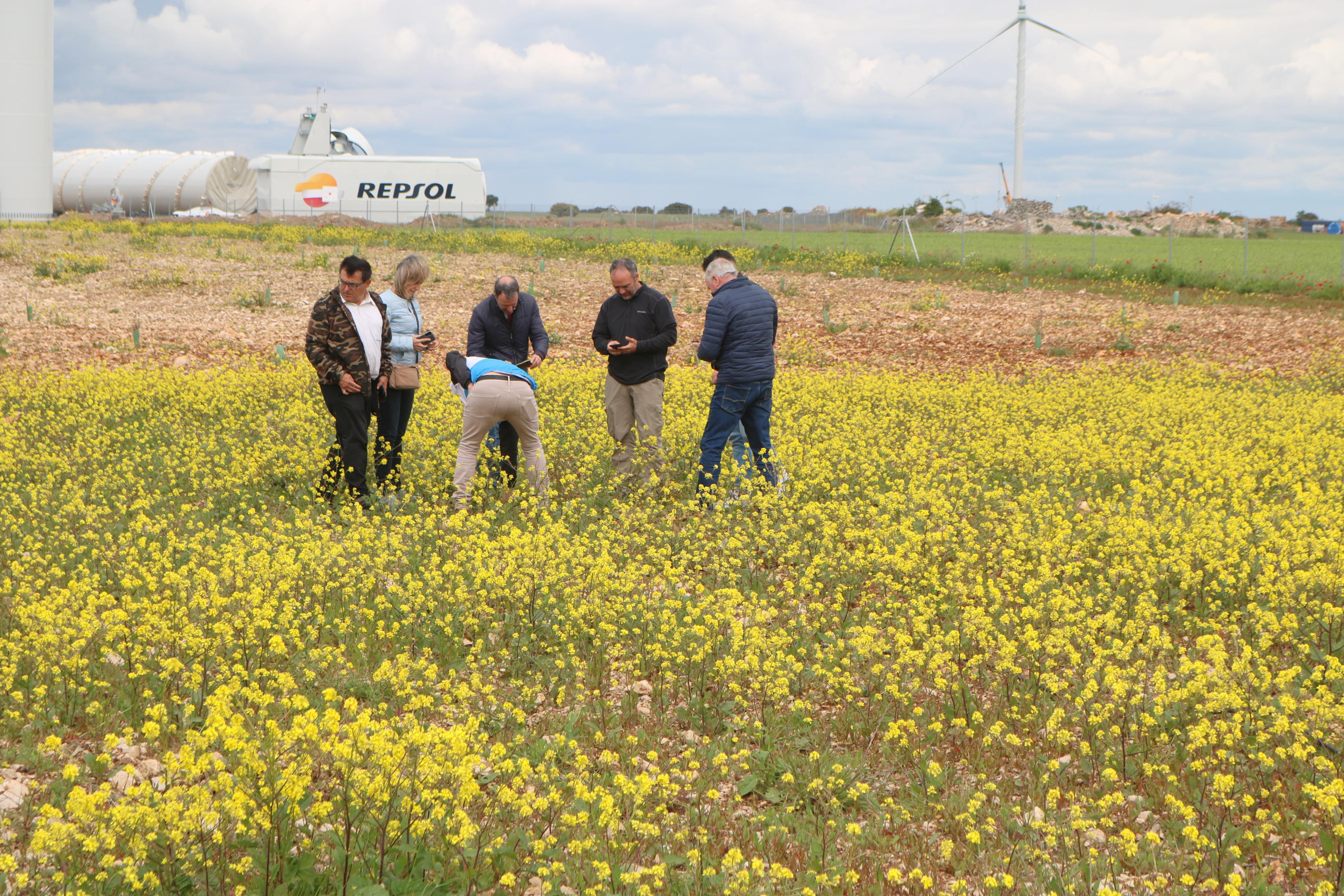 Jornadas de Formación en Turmicultura en Baltanás