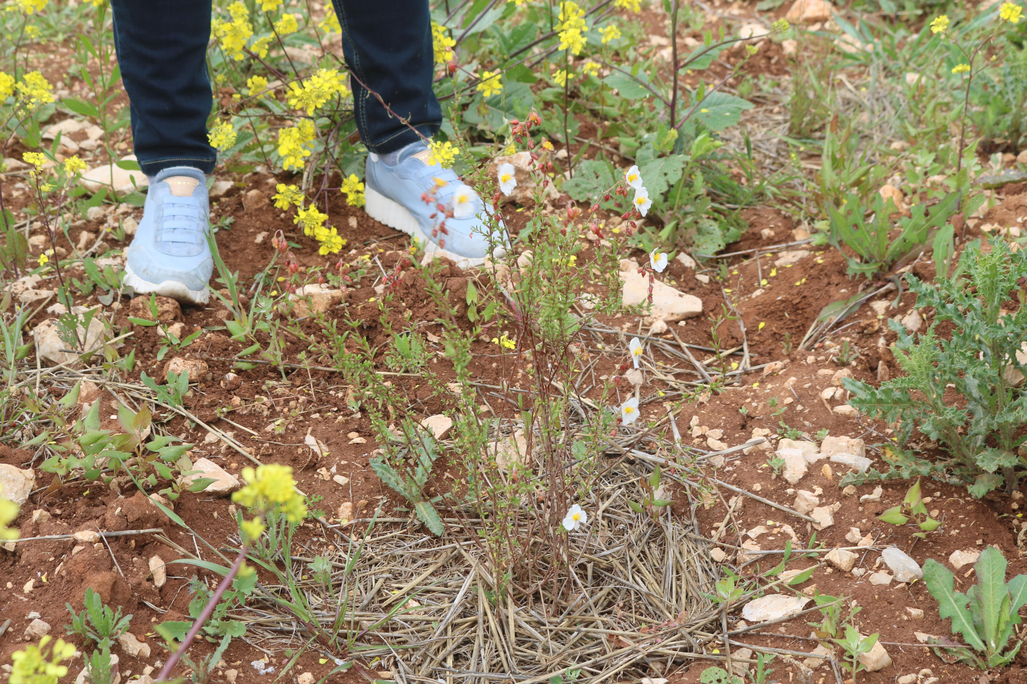 Jornadas de Formación en Turmicultura en Baltanás