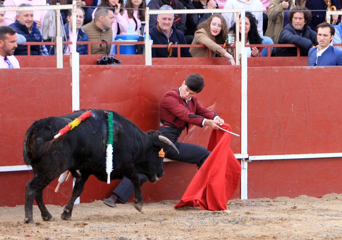 Imagen principal - Arriba, el joven Jorge Oliva da un muletazo a su rival sentado en tablas; abajo a la izquierda, un pase de Finito de Córdoba, y a al derecha, Emilio de Frutos en la lidia del toro de su lote. 