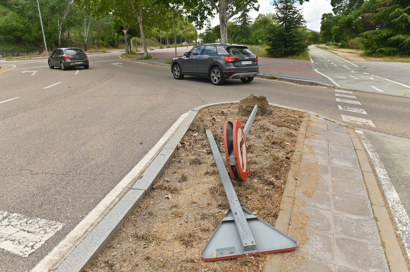 La Avenida Real Valladolid amanece vandalizada