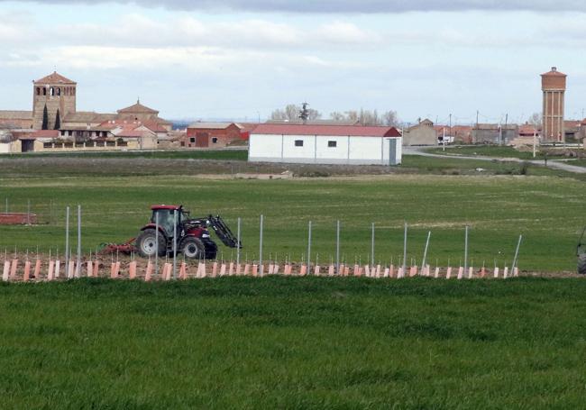 Un tractor en un campo verde de un municipio segoviano.