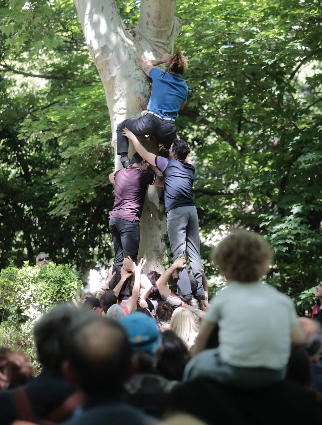 Compañía Circ Pistolet, circo Cataluña, Festival internacional de teatro y artes de calle