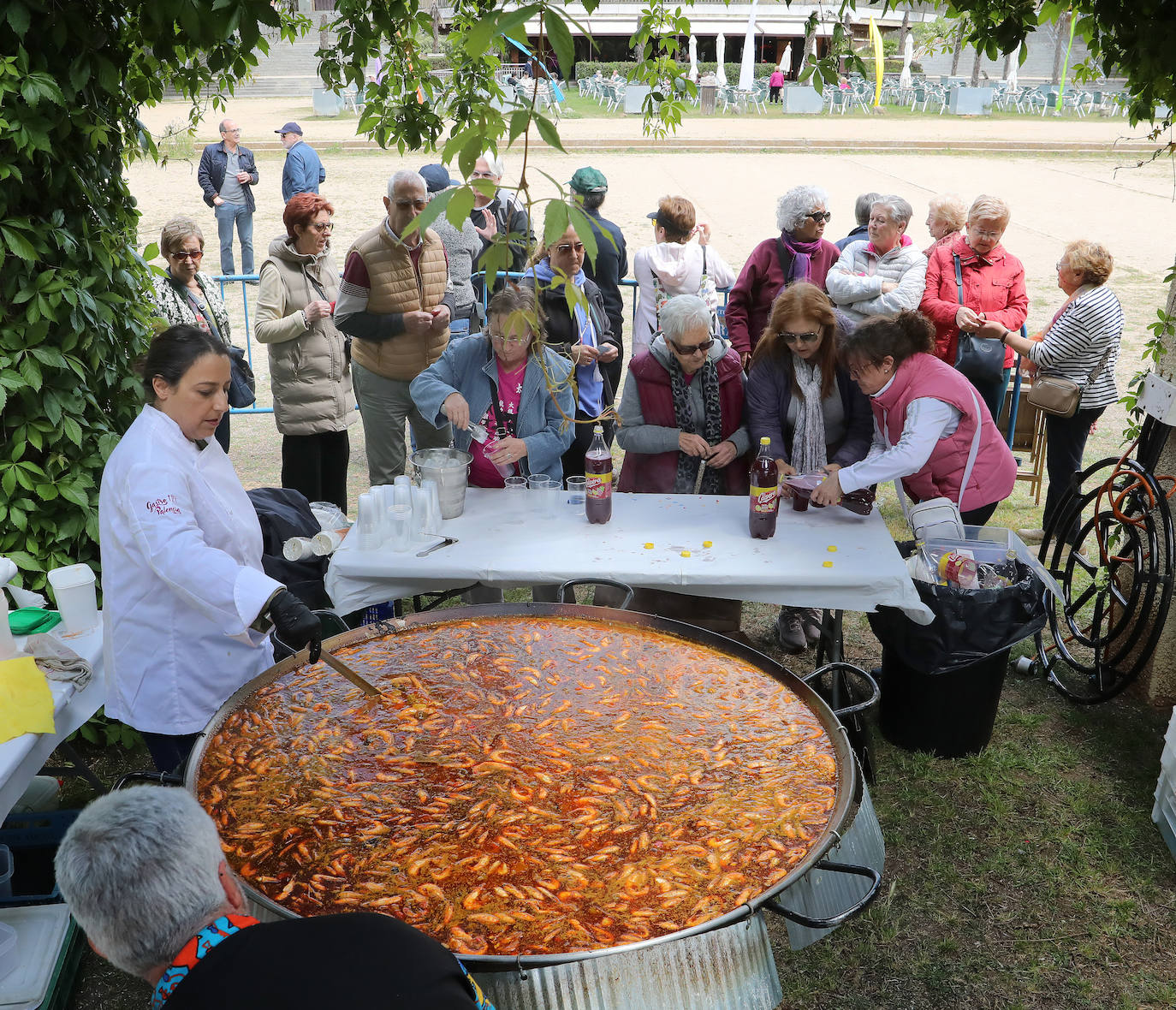 El cole de los mayores se va de vacaciones