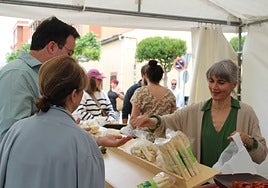 Expositores de la Feria del Espárrago de Tudela de Duero