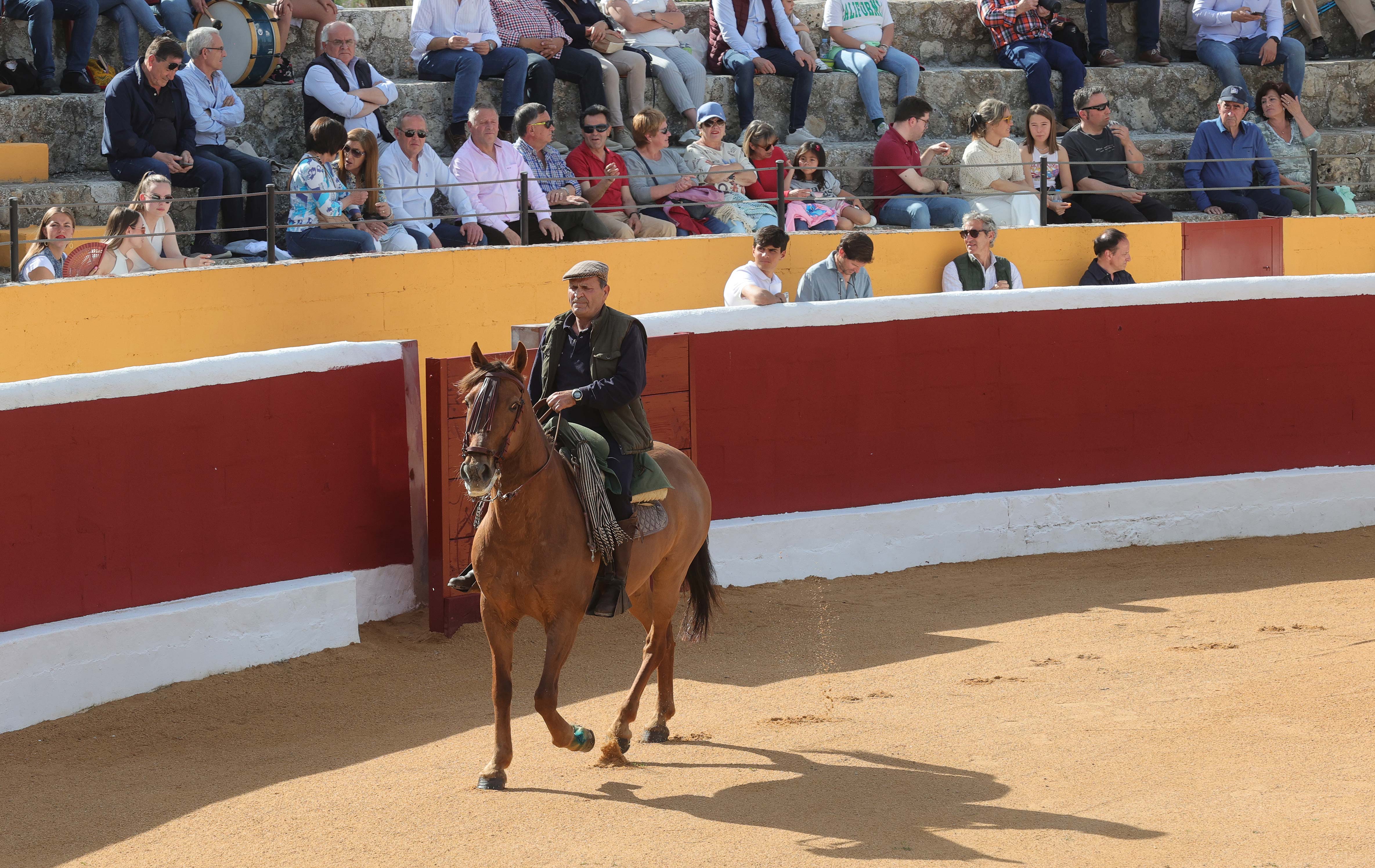 Final del bolsín taurino de Ampudia