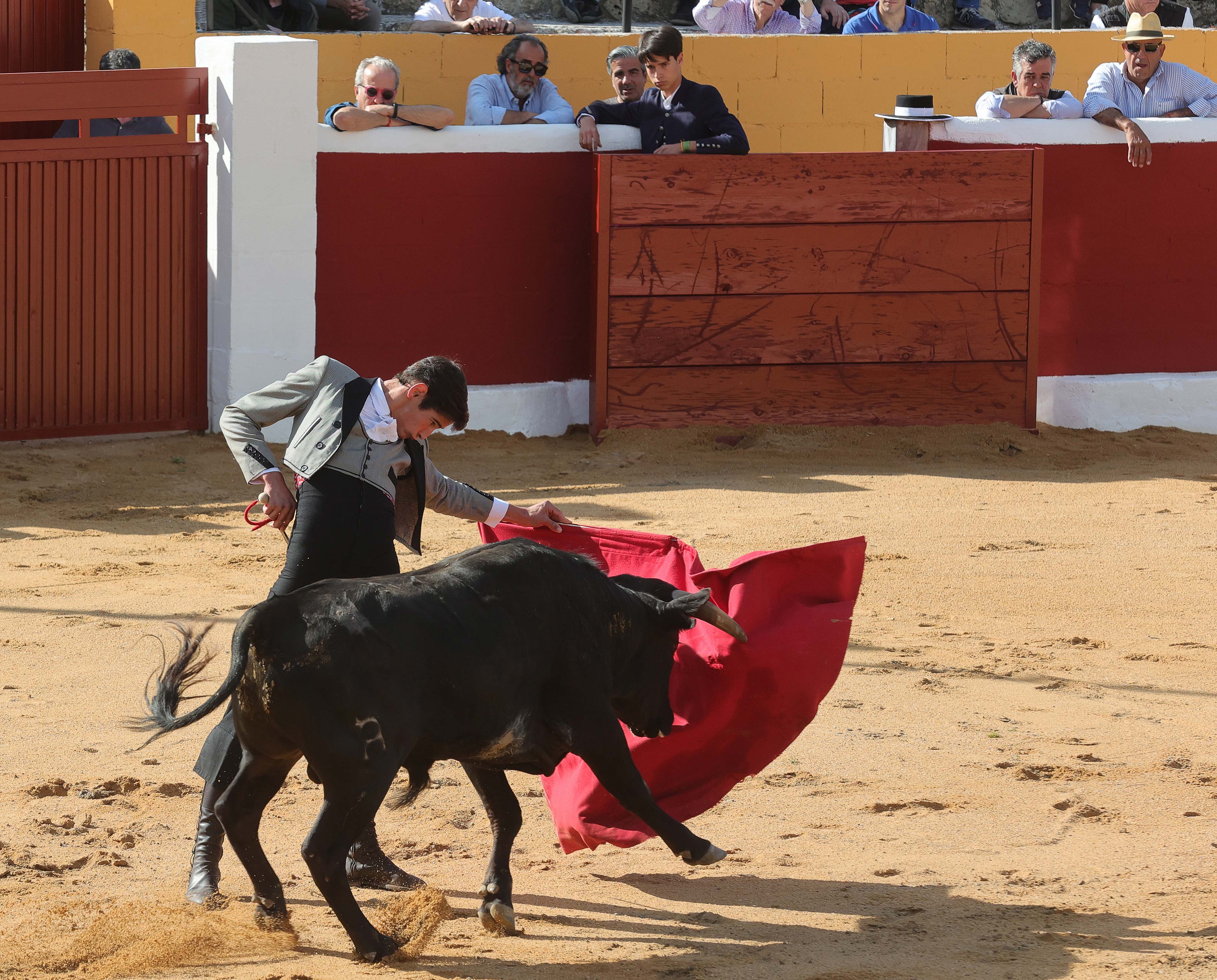 Final del bolsín taurino de Ampudia