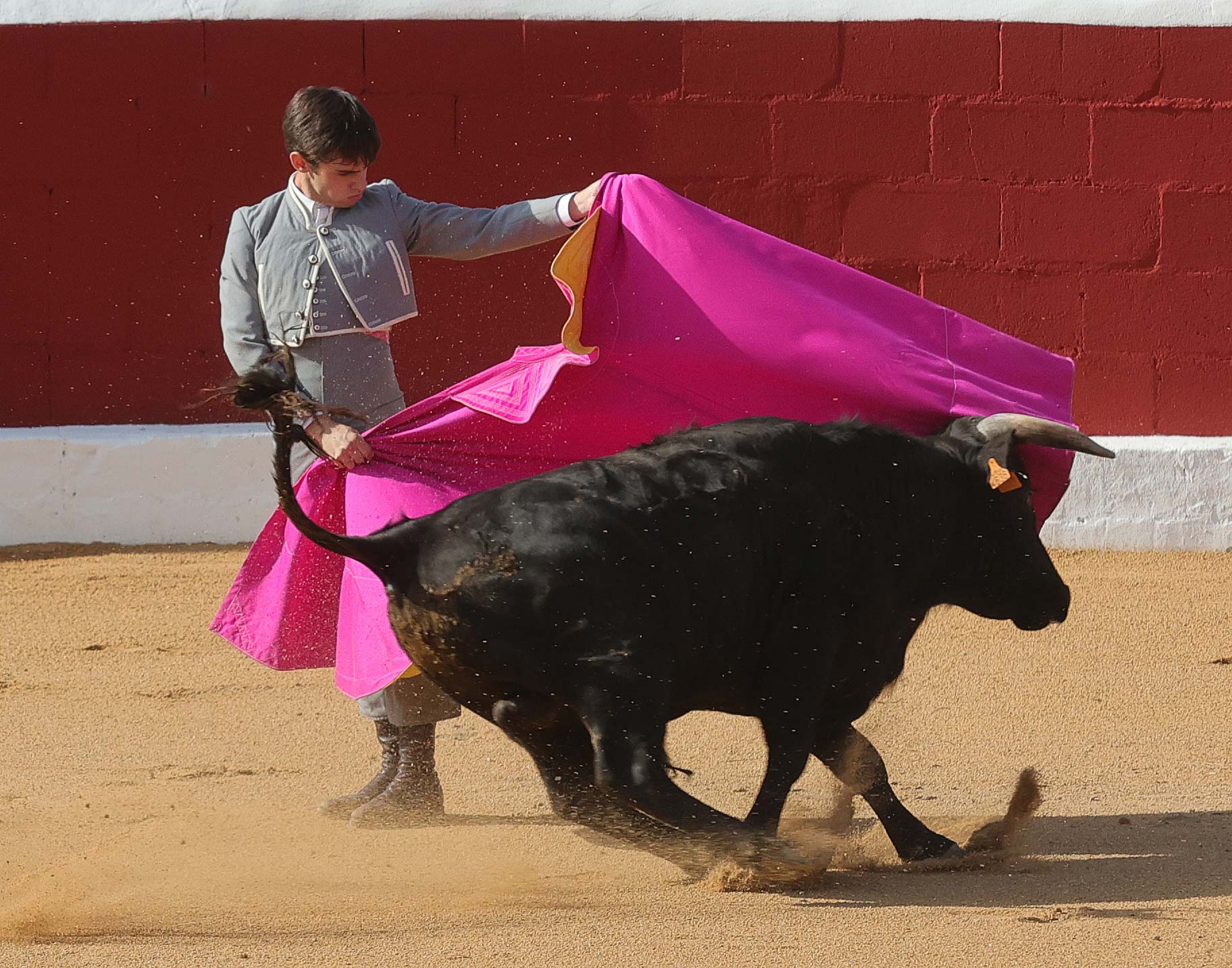 Final del bolsín taurino de Ampudia