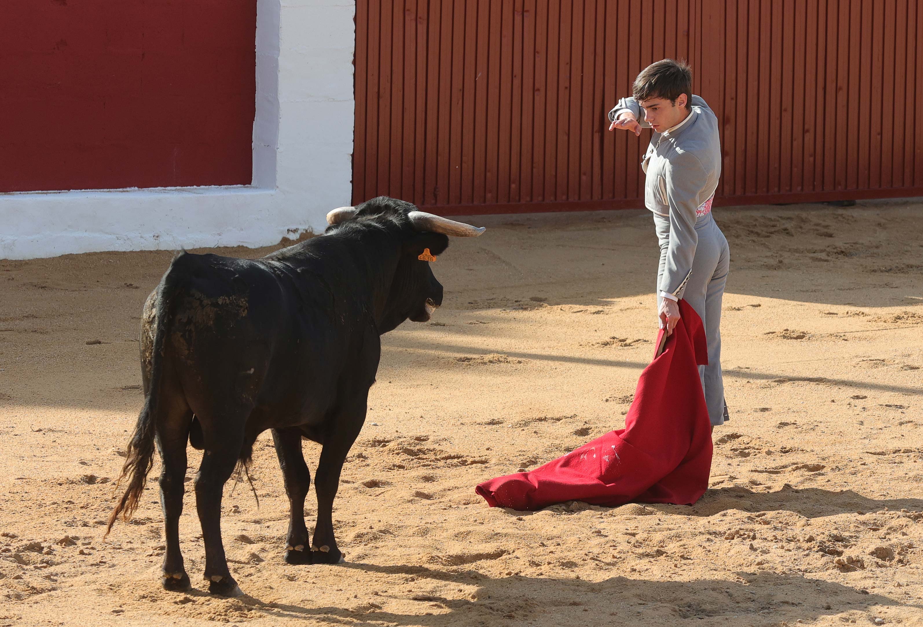 Final del bolsín taurino de Ampudia