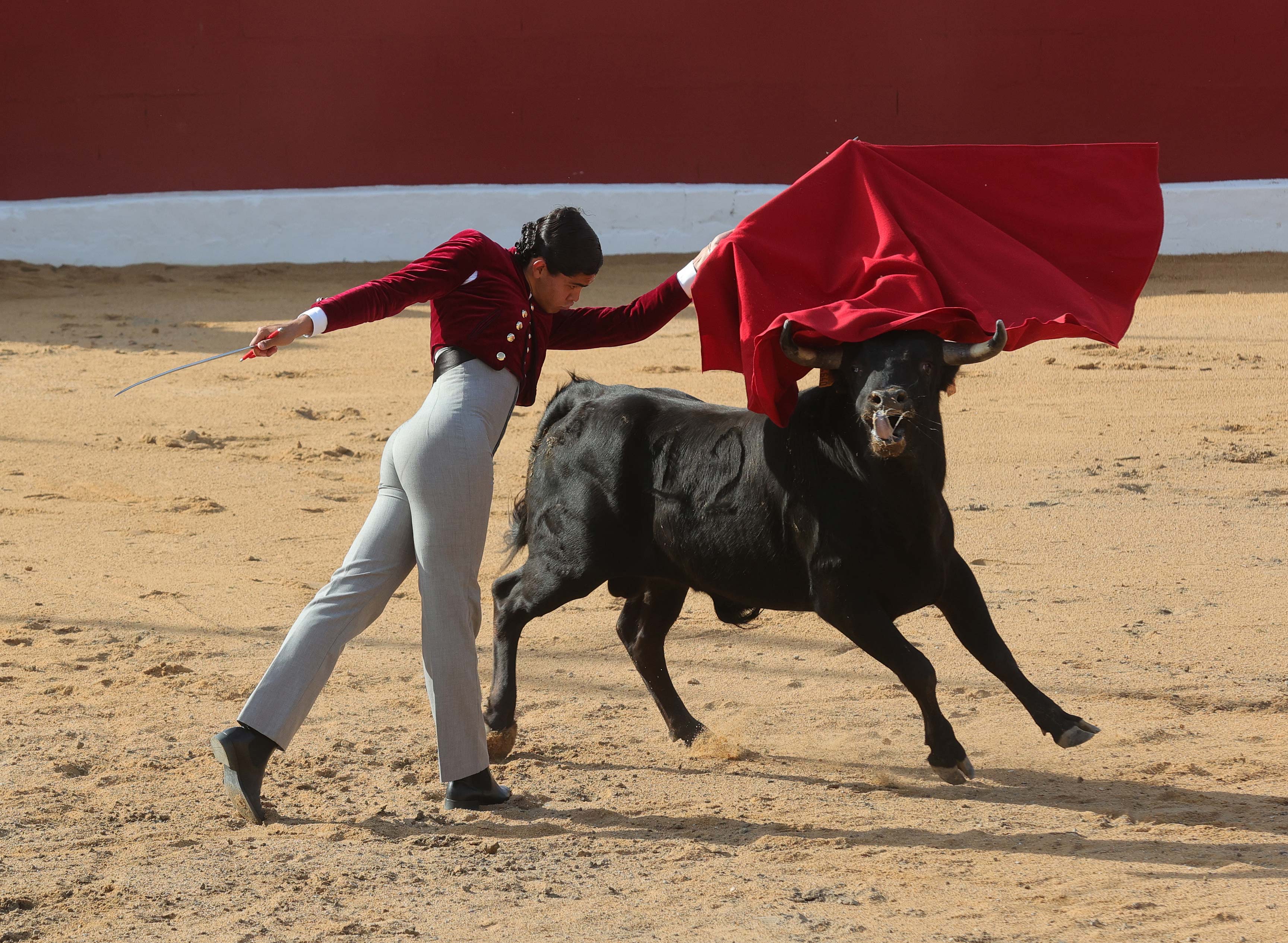 Final del bolsín taurino de Ampudia