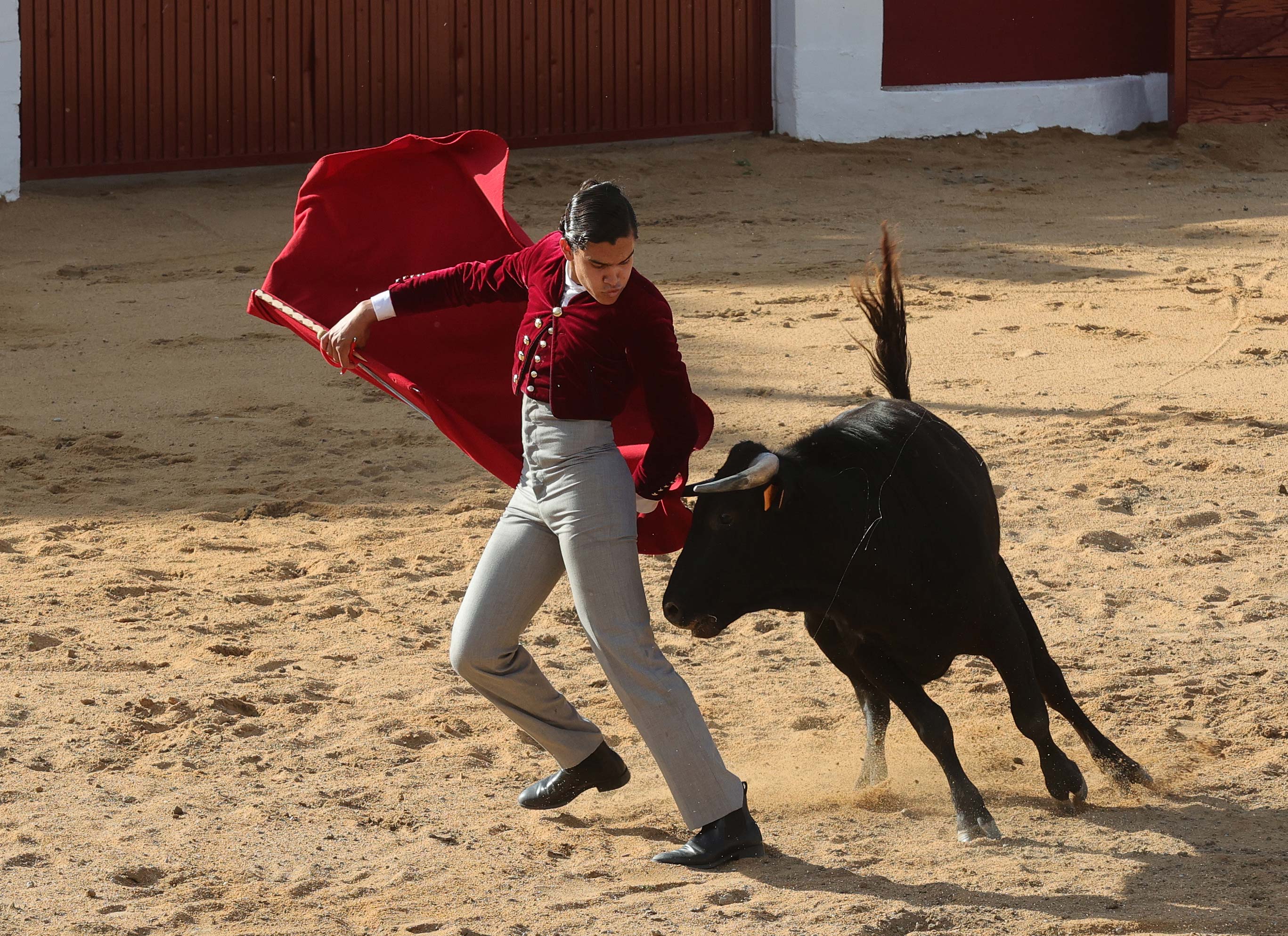 Final del bolsín taurino de Ampudia