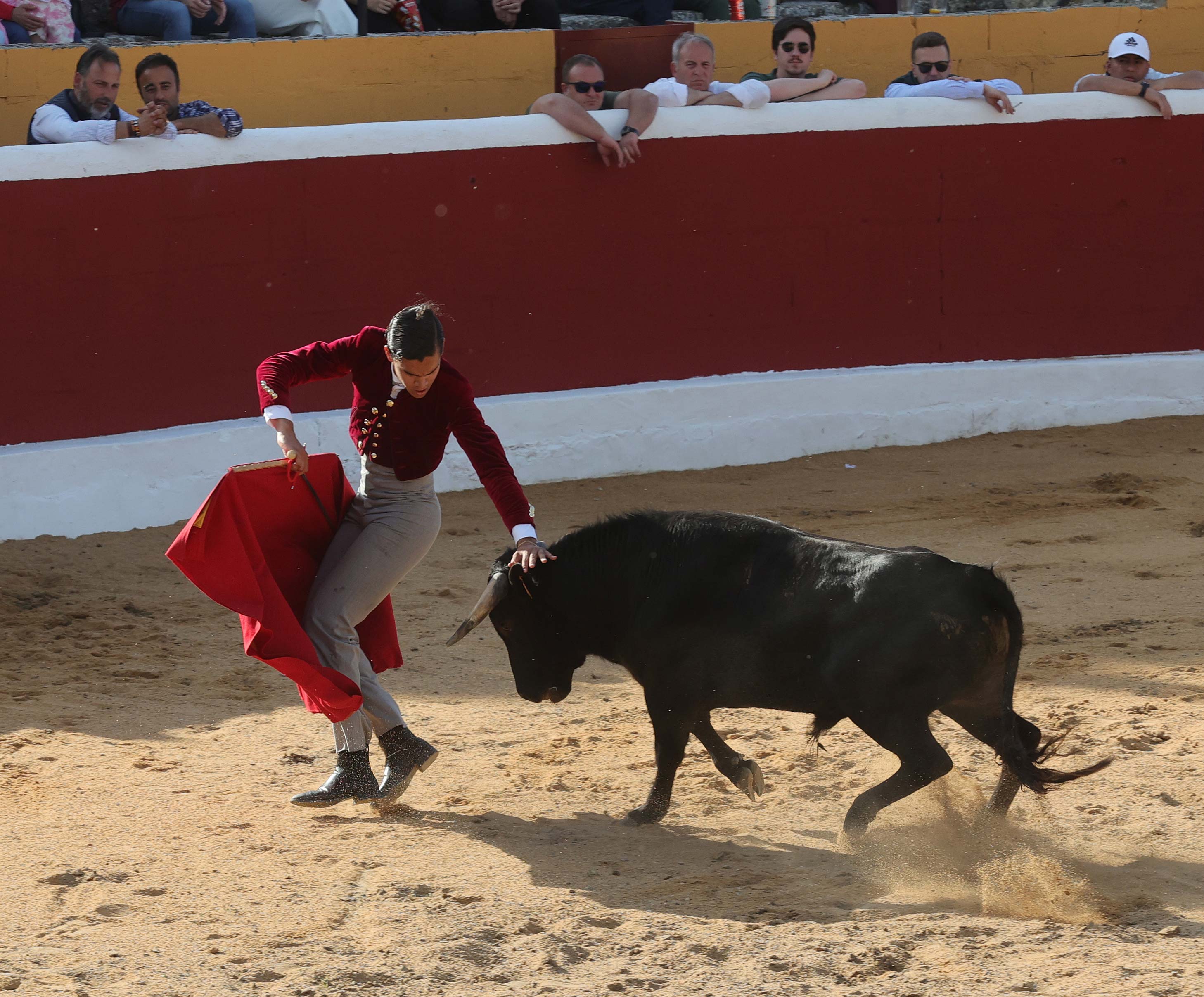 Final del bolsín taurino de Ampudia