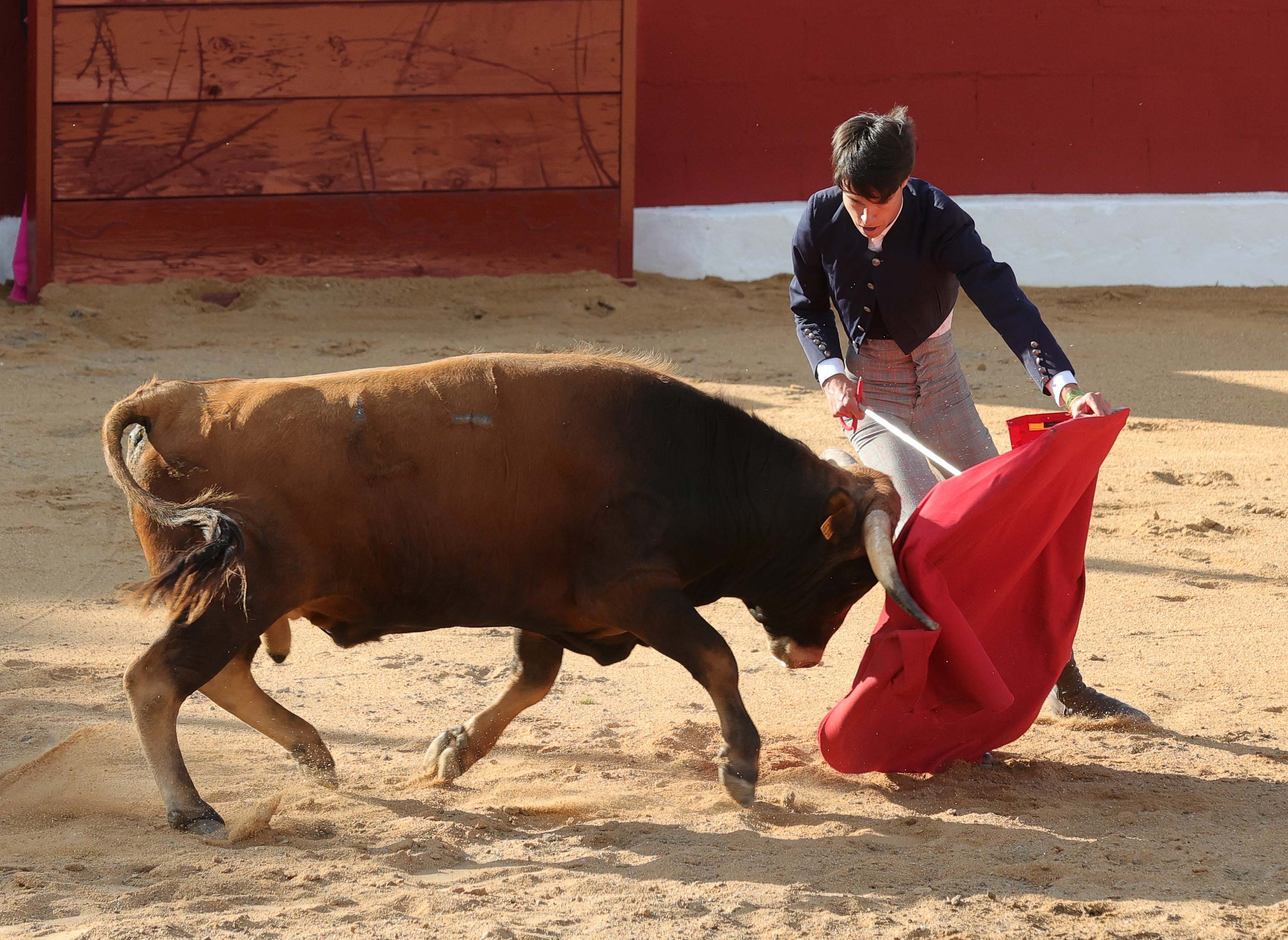 Final del bolsín taurino de Ampudia