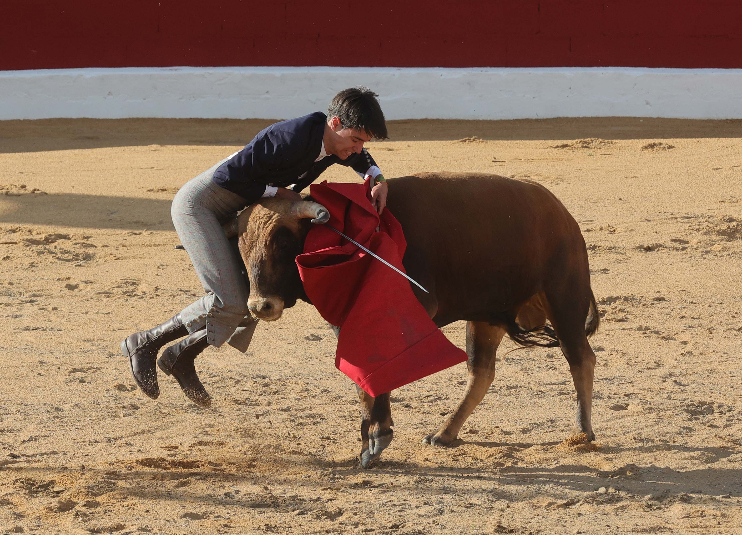 Final del bolsín taurino de Ampudia