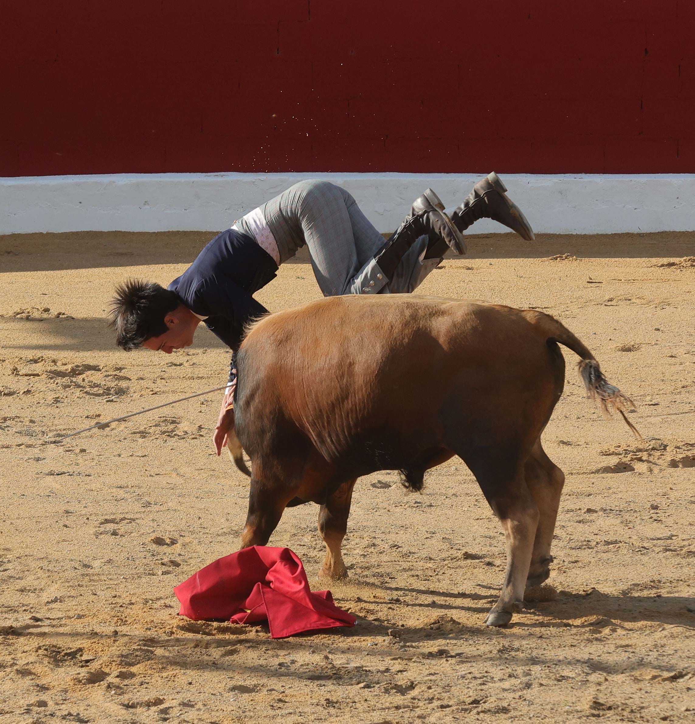 Final del bolsín taurino de Ampudia