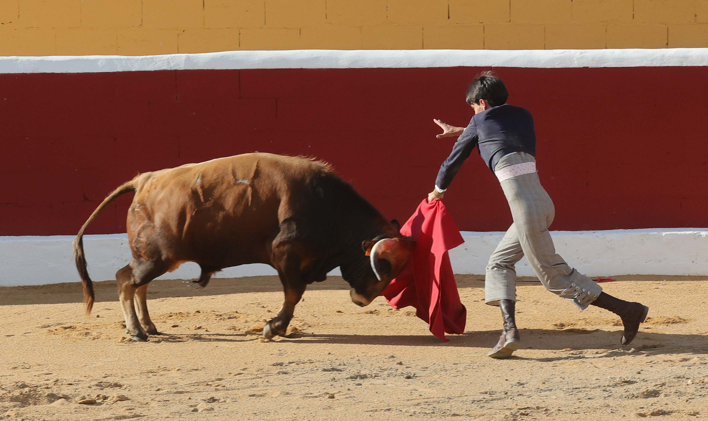 Final del bolsín taurino de Ampudia