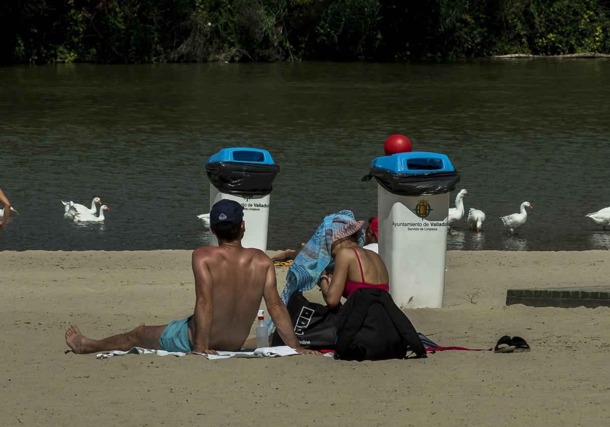 Bañistas en la playa de Las Moreras, con los patos en el agua.