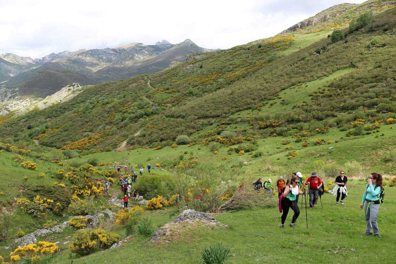 Los clubes de montaña de Palencia se unen en Cardaño de Abajo