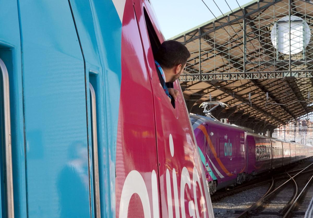 Un tren Avlo pasa junto a uno de Ouigo en la estación de trenes de Valladolid.