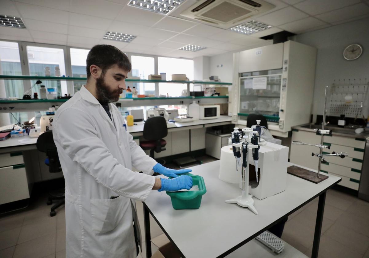 Laboratorio del IOBA, instituto de la Universidad de Valladolid que determinó la contaminación de algunos lotes del Ala Octa.