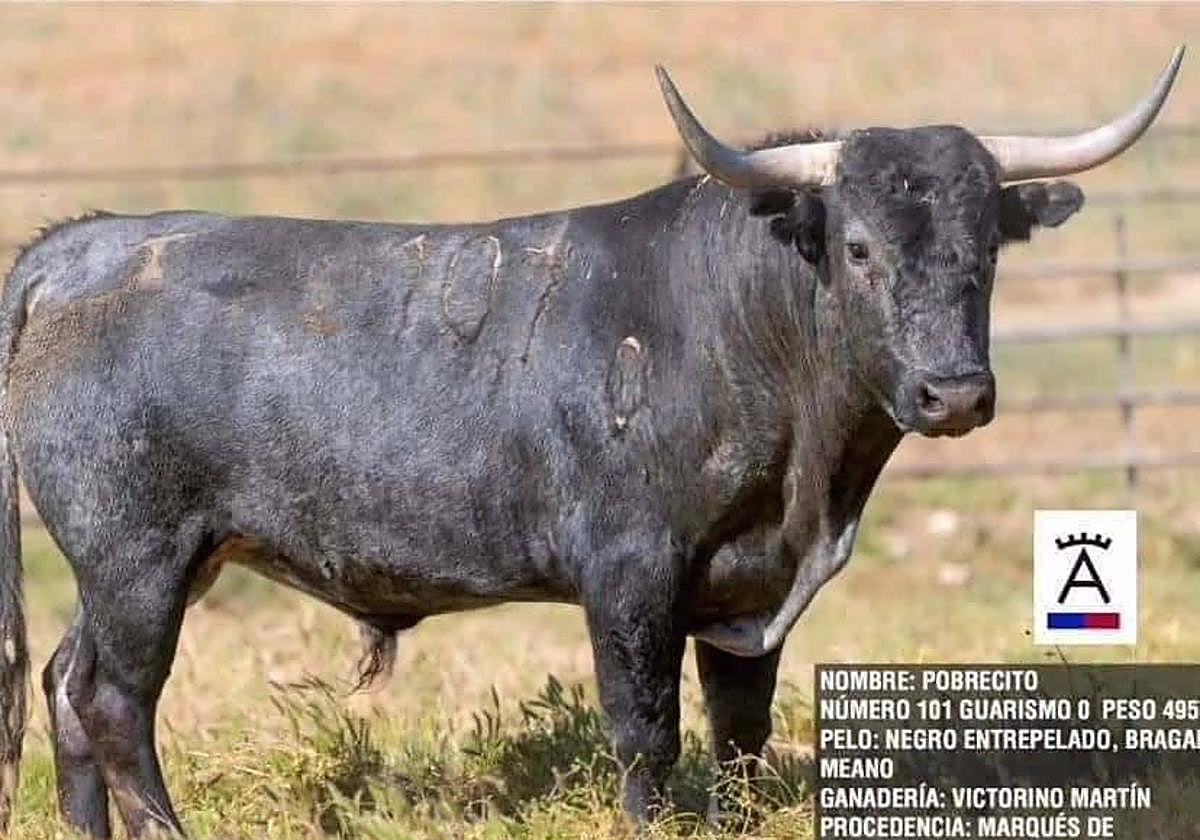 Este será el Toro de la Feria de Medina del Campo | El Norte de Castilla