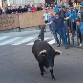 Herido un hombre en el Toro de las Peñas de Zaratán