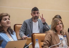 Guillermo San Juan, durante el pleno de este viernes.