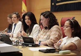 Comparecencia de la Directora de Salud Pública de Castilla y León, Sonia Tamames, en las Cortes