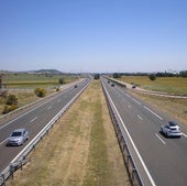 Atropello mortal en Palencia: «Se intentó tirar a mi coche»