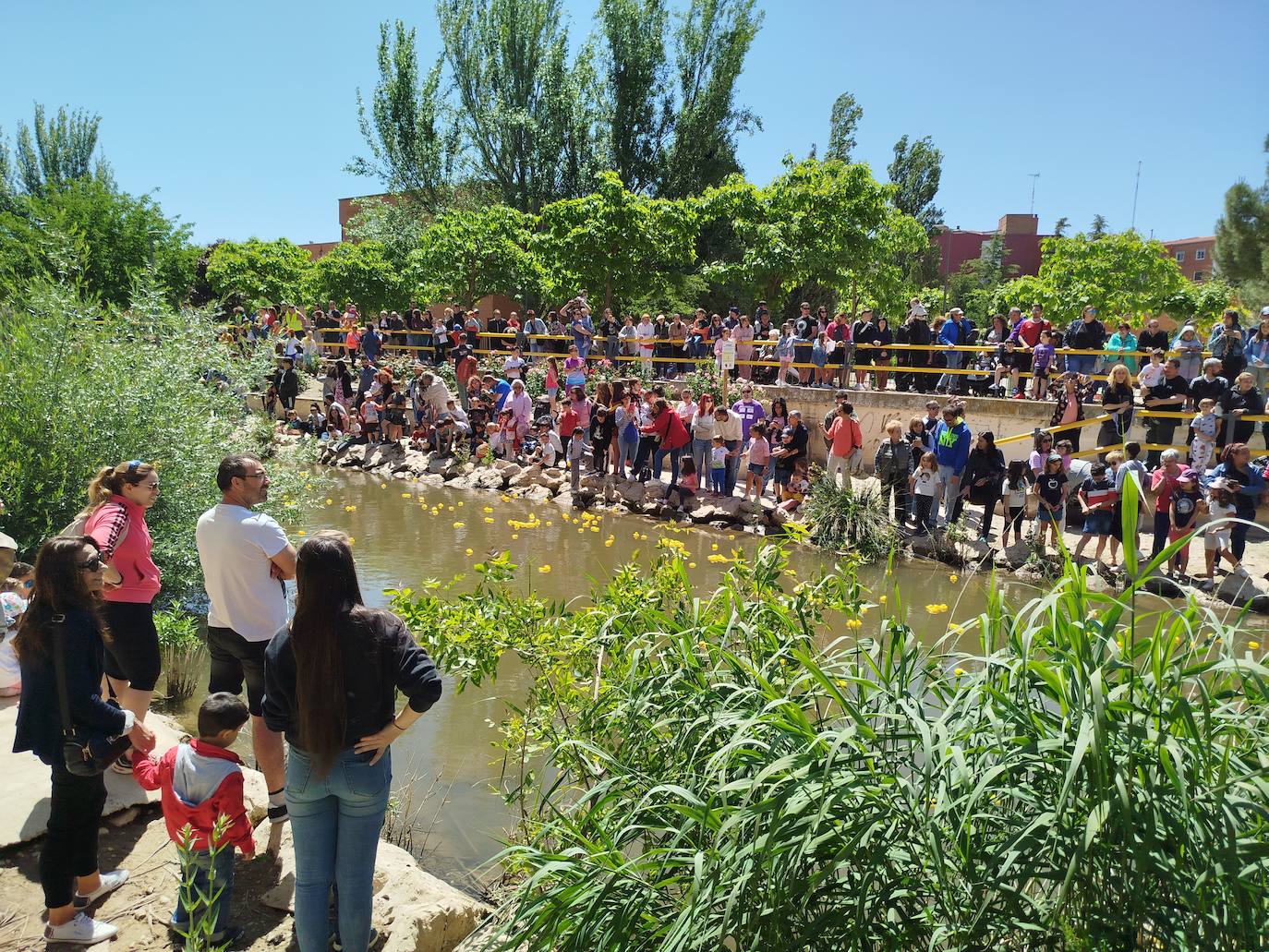 Carrera de patitos de goma solidarios en Valladolid